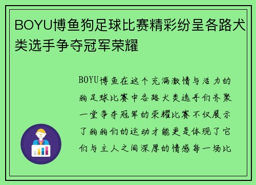 BOYU博鱼狗足球比赛精彩纷呈各路犬类选手争夺冠军荣耀