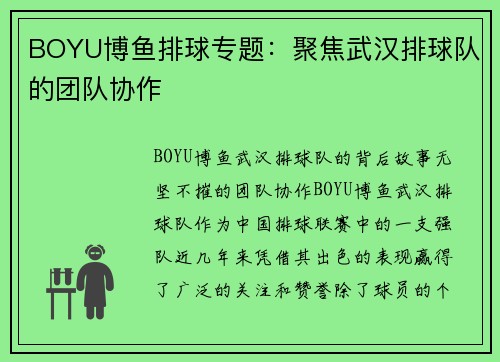 BOYU博鱼排球专题：聚焦武汉排球队的团队协作